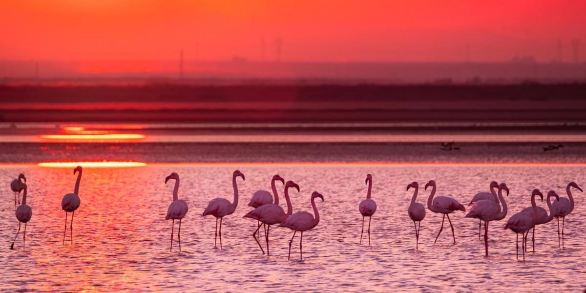 Cabras, Vacanze A Due Passi Dal Mare Buitenkant foto